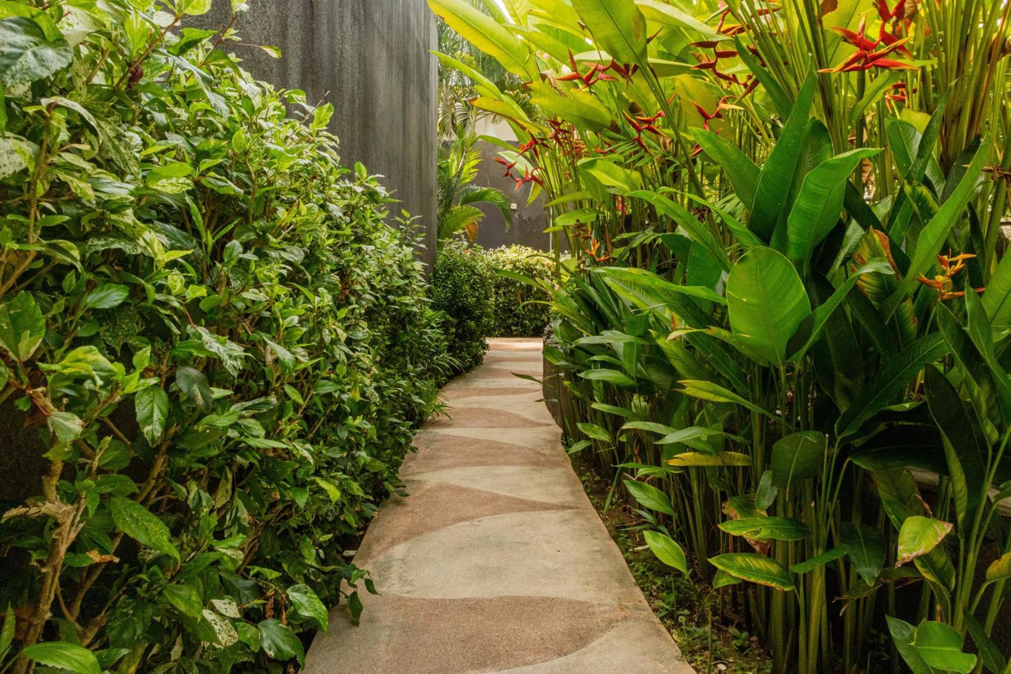 Taman Mesari Luxury Villas-seminyak विला *